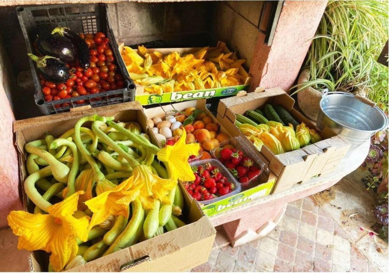 Ascheri Country House - Grimaldi, Ventimiglia Eksteriør billede
