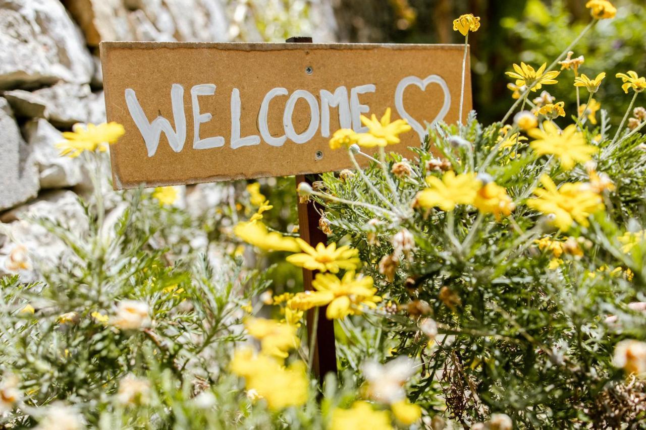 Ascheri Country House - Grimaldi, Ventimiglia Eksteriør billede