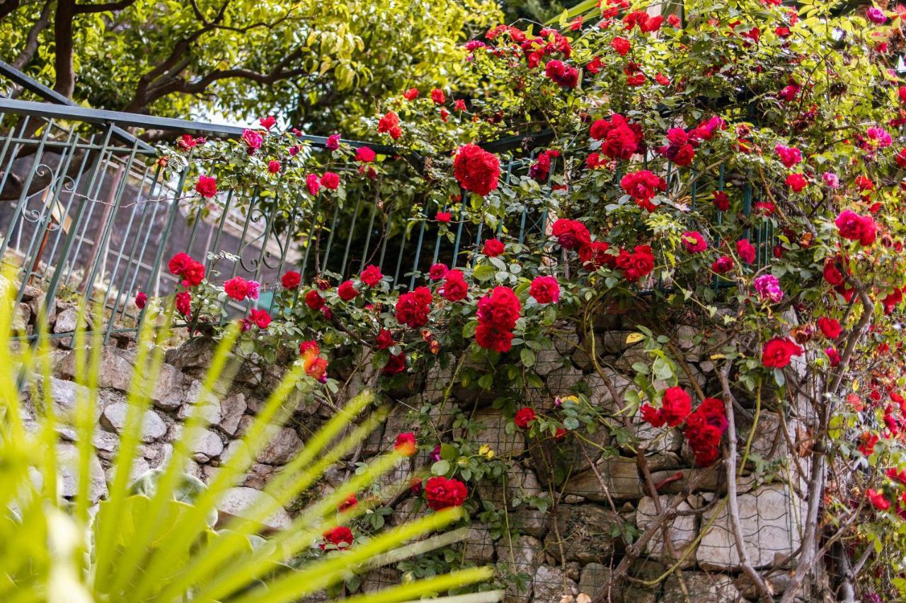 Ascheri Country House - Grimaldi, Ventimiglia Eksteriør billede